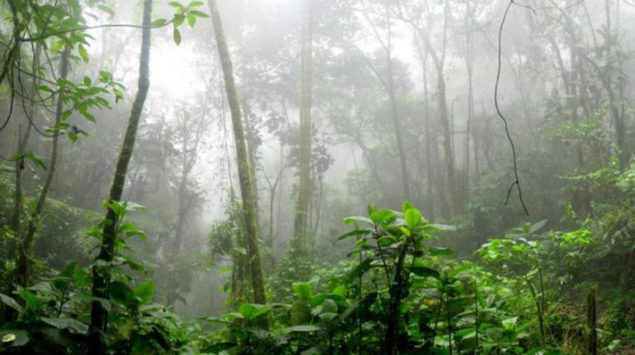 Eldorado et les légendaires cités d’or