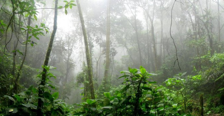 Eldorado et les l&eacute;gendaires cit&eacute;s d&rsquo;or